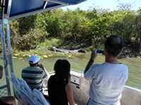 tn_yellowwaters6.jpg