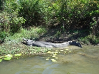 tn_yellowwaters7.jpg