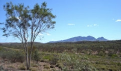 travasmtc2009a008003.jpg