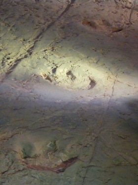 footprintspreservedinclay.jpg