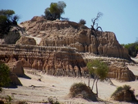 tn_11mungosandcastles.jpg