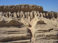 tn_11mungosculptures.jpg
