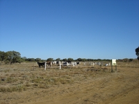 tn_12milehotelsite.jpg