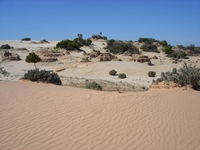 tn_14colouredsands.jpg