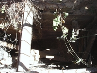 tn_19vigarwell.jpg