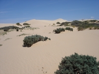 tn_20vigardune.jpg