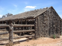 tn_23zancistables.jpg