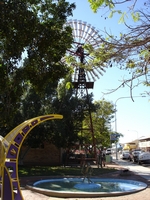 tn_barcaldine1.jpg