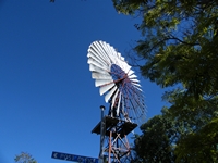 tn_barcaldine2.jpg