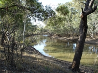 tn_barcaldinealiceriver.jpg