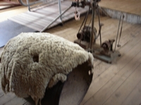 tn_blackallwoolscour9.jpg