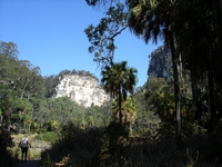 tn_caranarvongorge9.jpg
