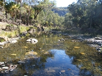 tn_carnarvoncreekcrossing1.jpg
