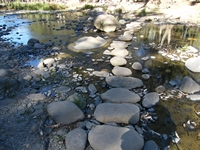 tn_carnarvoncreeksteppingstones.jpg