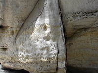 tn_carnarvongallery5.jpg