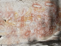 tn_carnavongallery1.jpg