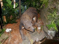 tn_fossilcentre3.jpg