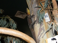 tn_fossilcentre7.jpg