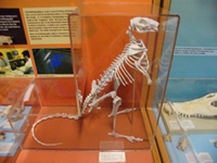 tn_fossilcentre8.jpg