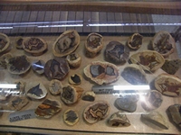 tn_hughendenthundereggs.jpg