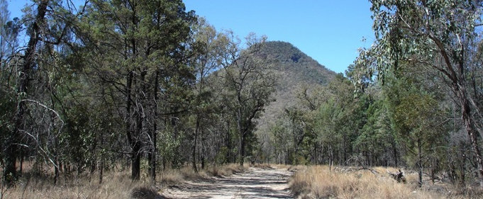 travasmtc2009b025001.jpg