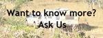 150xaskusbuttondsc09685cc2.jpg