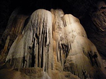 341_cathedral_cave_dscf8086.jpg