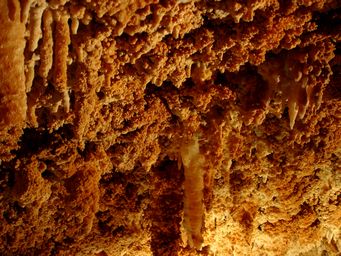 341_gaden_cave_dsc07916.jpg
