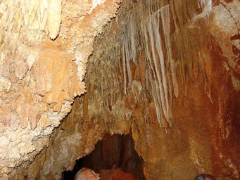 341_gaden_cave_dsc07923.jpg