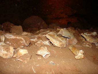 341_phosphate_cave_dsc07874.jpg