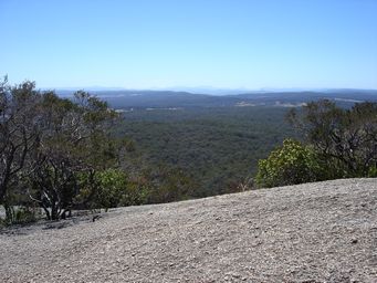 tn_bald_rock_n_dsc06477.jpg