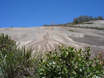 tn_bald_rock_steep_dsc06513.jpg