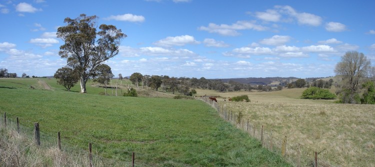 tn_banner_ben_lomond_farms_1415_metres.jpg