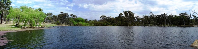 tn_banner_severnlea_cp_dam.jpg