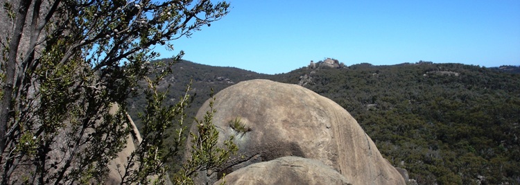 tn_bannergirraweendsc06170.jpg