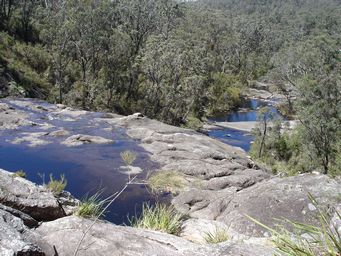 tn_basket_swamp_dsc06288.jpg
