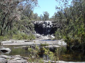 tn_basket_swamp_dsc06316.jpg