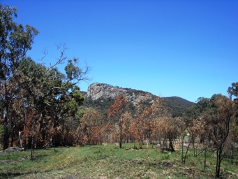 tn_bluffrockdsc06524.jpg