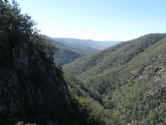 tn_boonoo_boonoo_beyond_falls_dscf7454.jpg