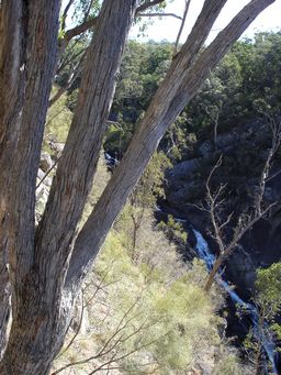 tn_boonoo_boonoo_falls_dsc06357.jpg