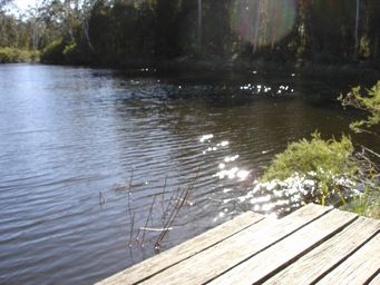 tn_boonoo_boonoo_platypus_pool__dsc06393.jpg