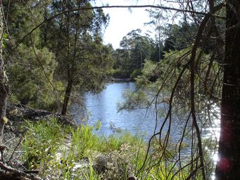 tn_boonoo_boonoo_platypus_pool_dsc06394.jpg