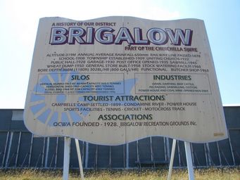 tn_brigalowdscf7132.jpg