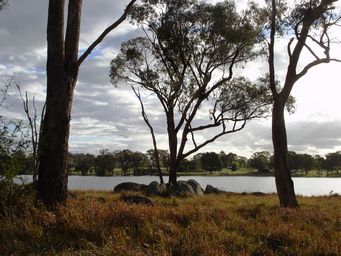 tn_dumaresq_dam_dsc06908a.jpg