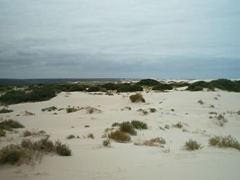 tn_eucla.jpg