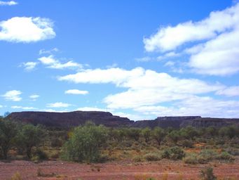 tn_ironknobdsc09084.jpg