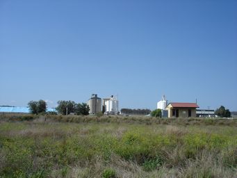 tn_mulabinsdsc05814.jpg