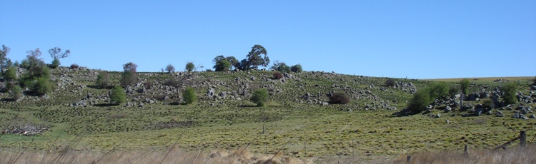 tn_near_tenterfield_banner_dsc06399.jpg