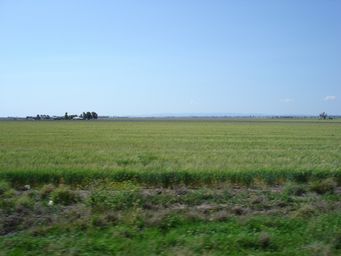 tn_neardalbybunyadsc05811.jpg
