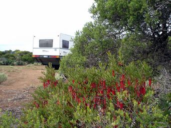 tn_nullarbor1.jpg